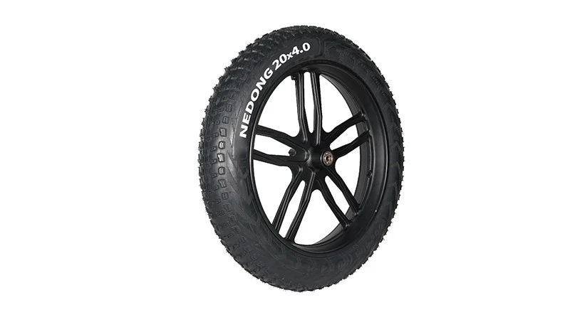 20x4 Electric Bike Fat Tire